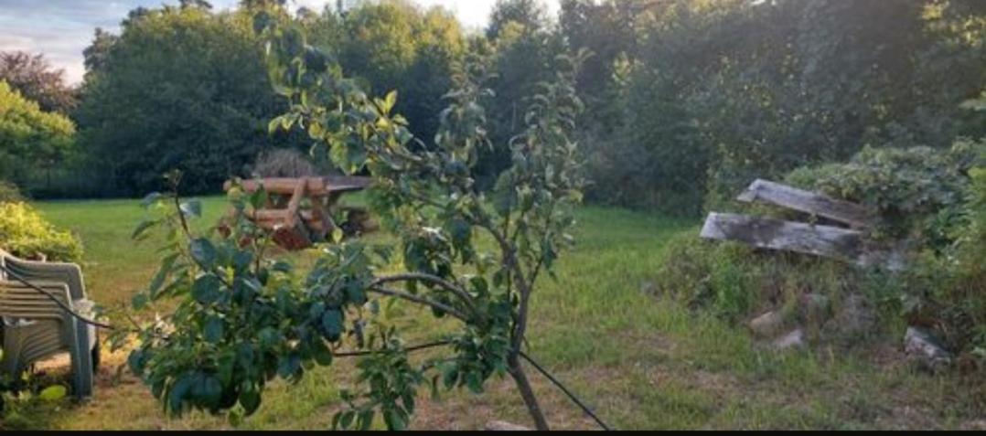 Carpin Tipi Jurte # Zelt Camping In Der Mecklenburgischen Seenplatte Inklusive Strom - Dixi-Wc!! #Mecklenburg-Vorpommern מראה חיצוני תמונה